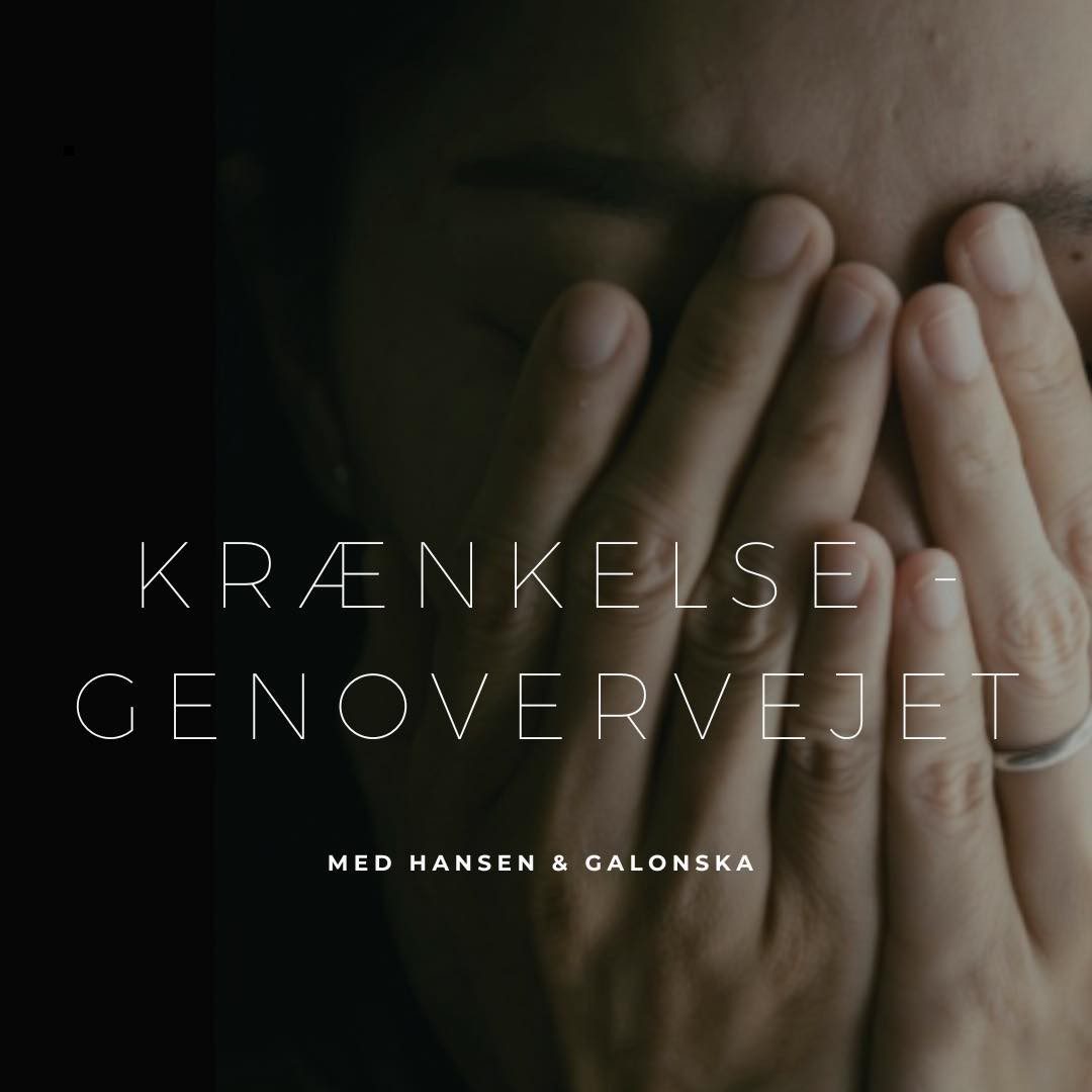 Krænkelser … genovervejet