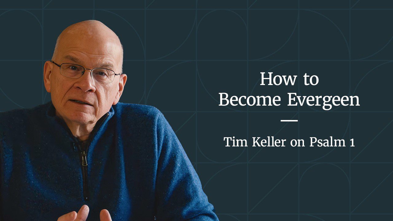 How to Become Evergreen – Psalm 1